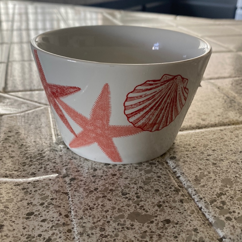 Appetizer bowl Coastal life Coral